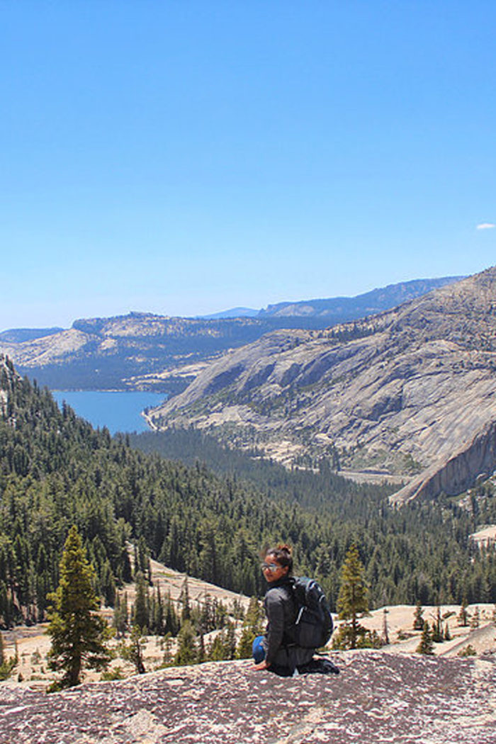 The Sierras