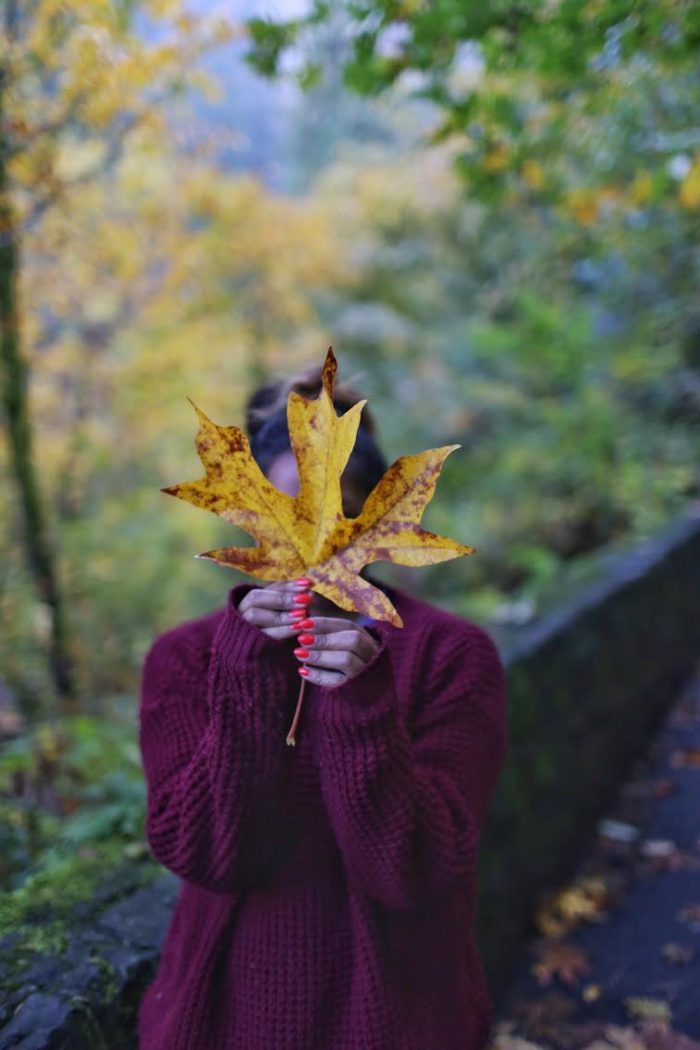 Fall Foliage in Portland